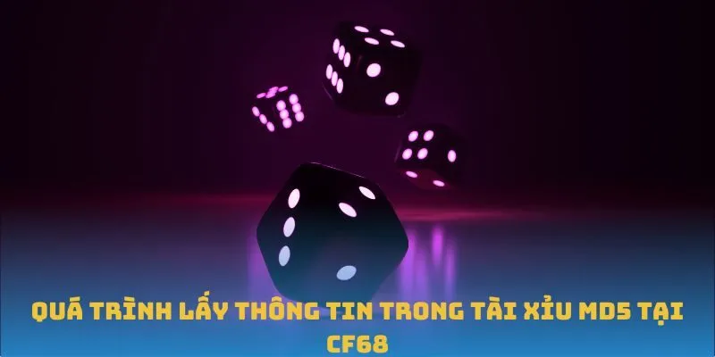 Quá trình lấy thông tin trong Tài Xỉu MD5 tại CF68