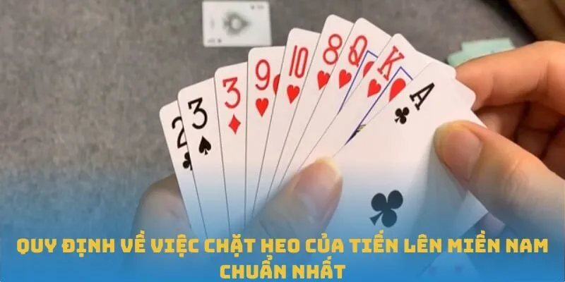 Quy định về việc chặt heo của Tiến Lên Miền Nam chuẩn nhất