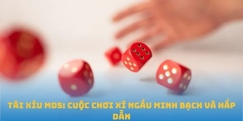 Tài Xỉu MD5 là gì