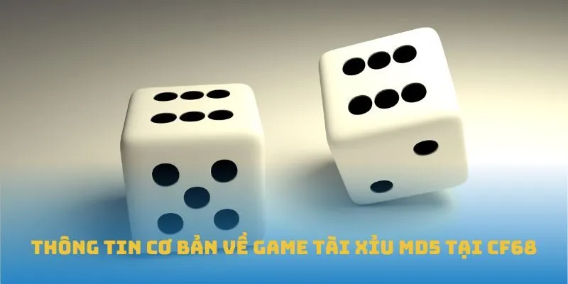 Thông tin cơ bản về game Tài Xỉu MD5 tại CF68 